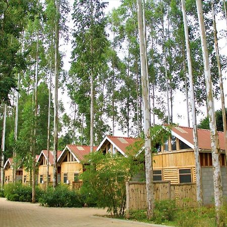 Hotel The Great Outdoors Uganda Vumba Zewnętrze zdjęcie